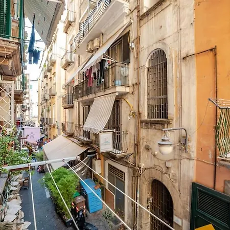 Nfa Nikyfigurellapartament